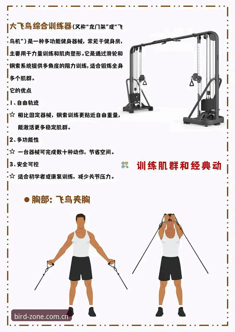 7个小鸟体育功能使用技巧，从新手到高手的进阶指南
