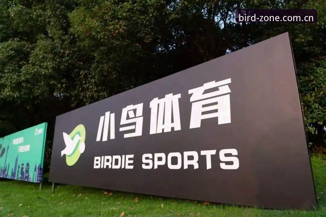 小鸟体育流畅体验对比详解:从下载到观赛的全方位解析